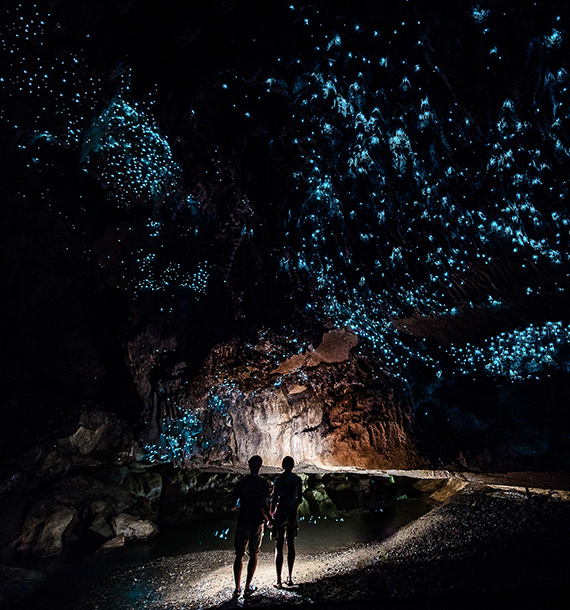 Neuseeland: Kawiti Caves