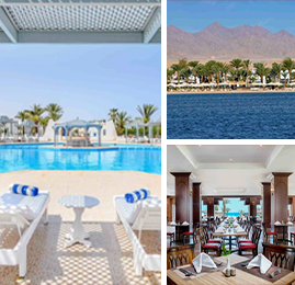 Bildcollage: Hotel Menaville Safaga.
