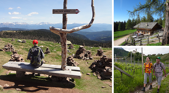 Wanderreise Südtirol: Wein- & Almenweg.