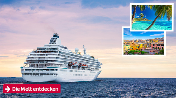 Die Welt entdecken, Kreuzfahrtschiff