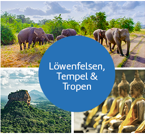 Löwenfelsen, Tempel & Tropen.