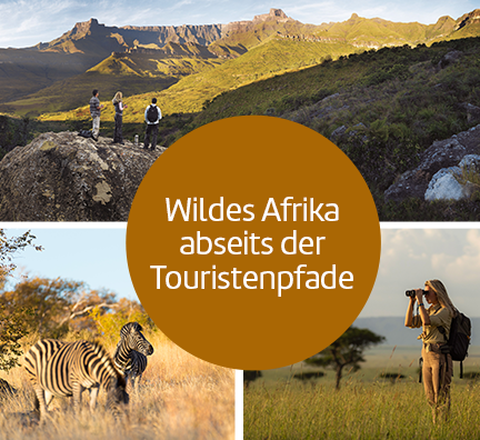 Bild-Collage: Drei Wanderer stehen auf den Drakensbergen, Frau schaut durch Fernglas und Zebras in der freien Natur. Störer: Wildes Afrika abseits der Touristenpfade.