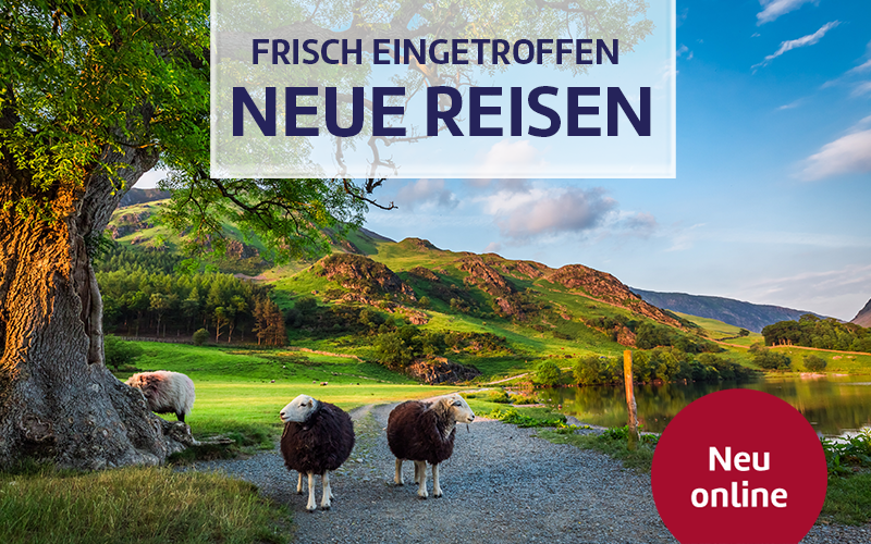 Frisch eingetroffen: Neue Reisen.
