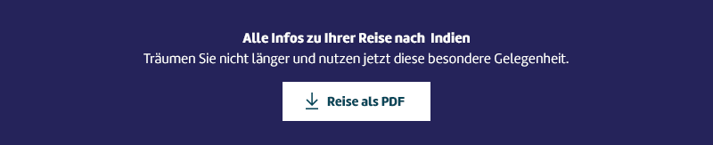 Reise als PDF