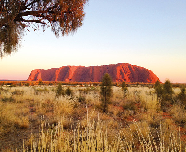 Der rote Felsen Ayers Rock/Uluru