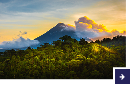 Costa Rica - Dschungel.
