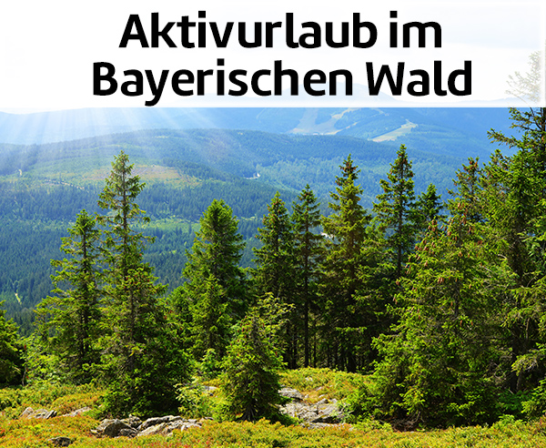 Aktivurlaub im Bayerischen Wald