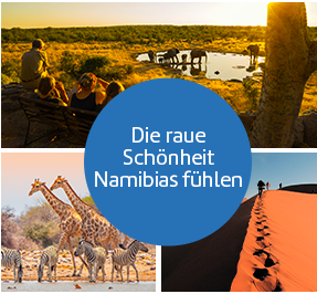 Die raue Schönheit Namibias erleben.