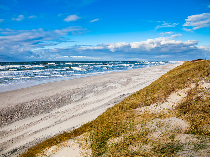Sanddünen der Kurischen Nehrung.