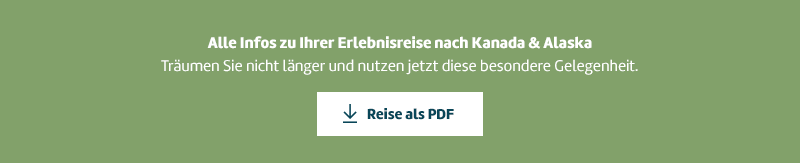 Reise als PDF runterladen