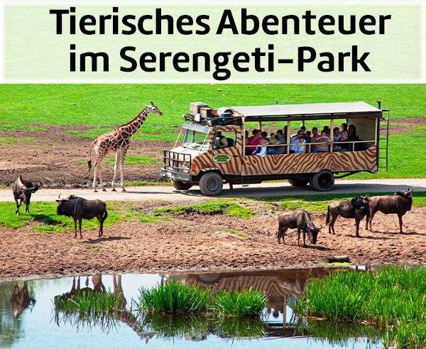 Tierisches Abenteuer im Serengeti-Park.