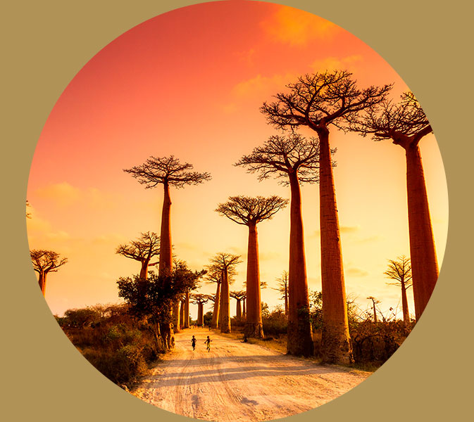 Madagaskar