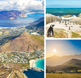 Bildcollage: Blick auf Kapstadt von oben, Brillenpinguine am Strand zwischen Klippen und Blick auf die Sonne die in Oudtshoorn hinter Bergen versinkt.