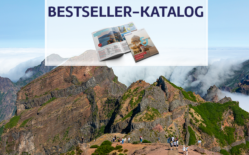 Unser Bestseller-Katalog