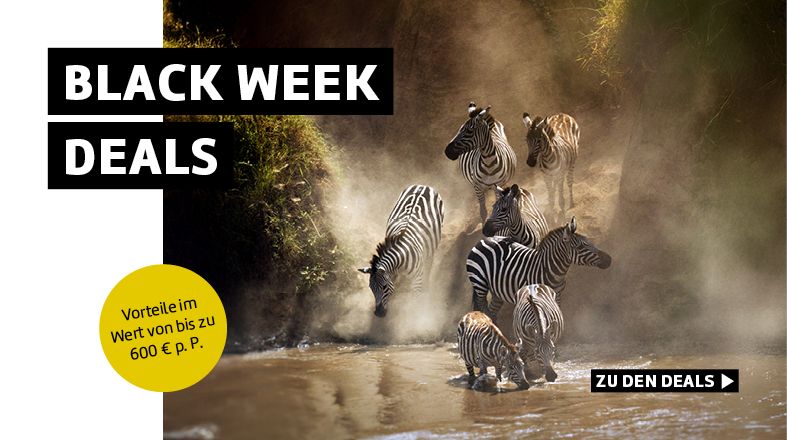Black Week Deals sichern.