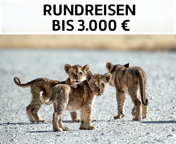 Rundreisen bis 3.000 Euro.