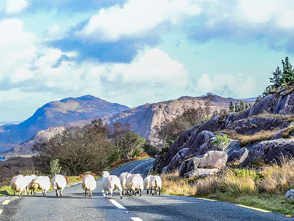 Irland-Rundreise