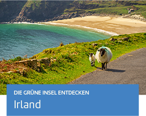 Die Grüne Insel entdecken