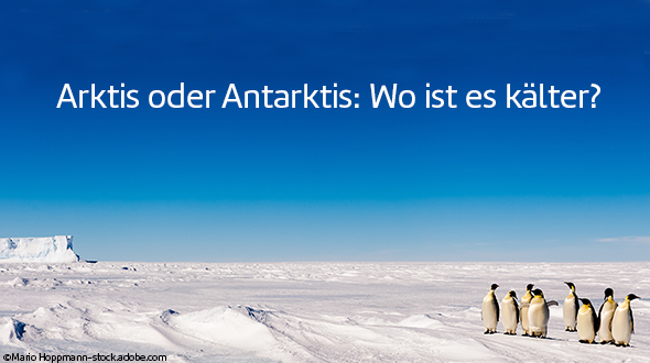 Arktis oder Antarktis: Wo ist es kälter?