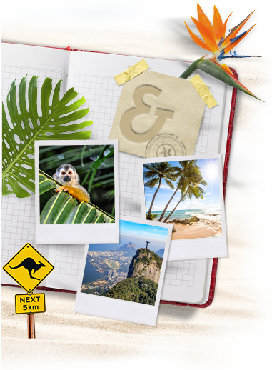 Bild-Collage: Palmenstrand, Affe im Dschungel und Rio de Janeiro.