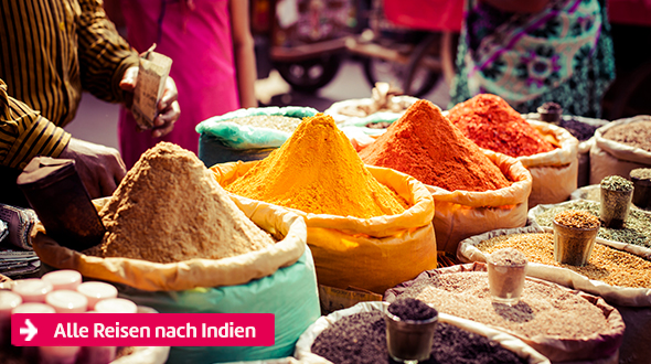 Alle Reisen nach Indien