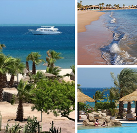 Bildcollage: Hotel Lotus Bay.