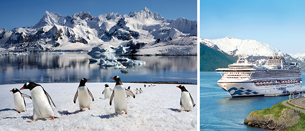 Bild-Collage: Pinguine mit Eisbergen und Schiff Sapphire Princess von außen.