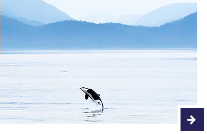 Alaska.