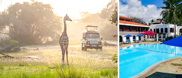 Bildcollage: Giraffe auf Safari & Pool des Badehotels