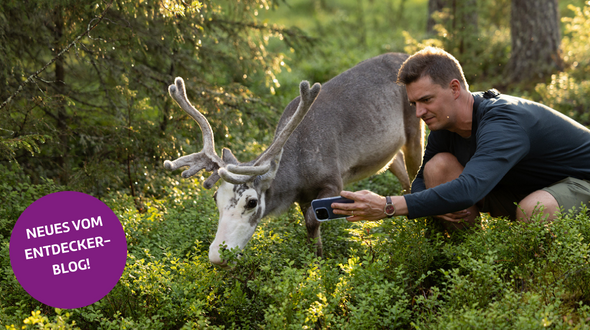 Entdecker-Blog: Ein Rentier als Influencer.