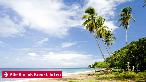 Alle Karibik Reisen
