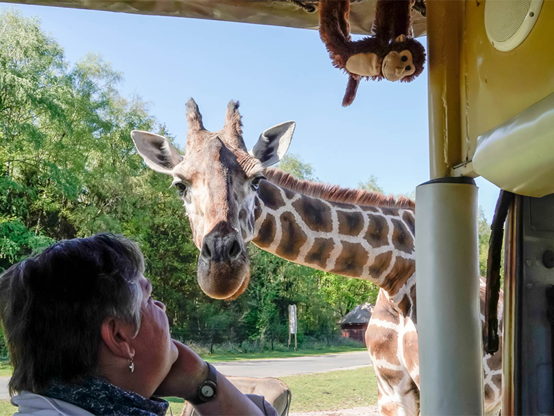 Familienabenteuer im Serengeti-Park