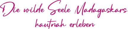 Die wilde Seele Madagaskars hautnah erleben.