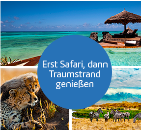 Erst Safari, dann Traumstrand.