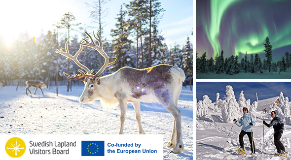 Standort-Rundreise durch Schweden - Lappland.
