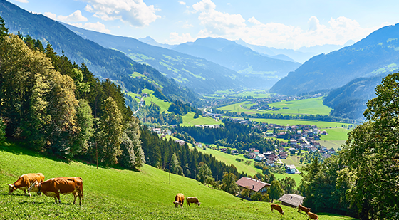 Österreich - Tirol