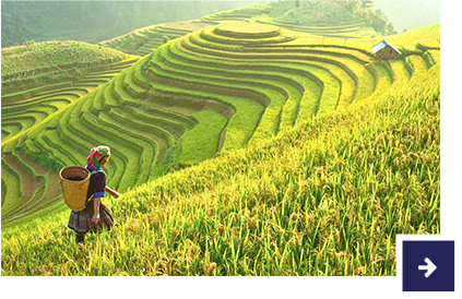 Vietnam.