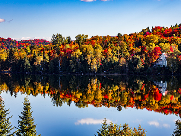 Indian Summer in der Provinz Québec.