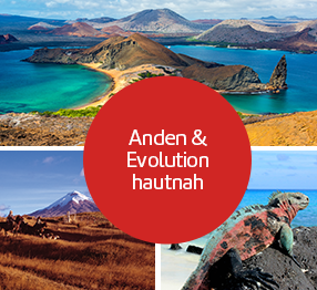Bild-Collage: Anden und Evolution hautnah.