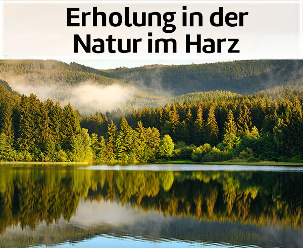Natururlaub im Harz