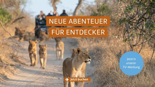 TV-Angebote