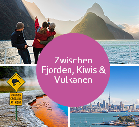 Zwischen Fjorden, Kiwis & Vulkanen.