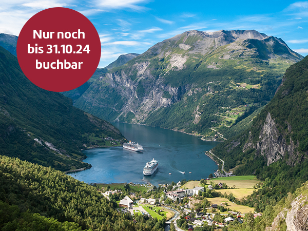 Blick auf den Geirangerfjord.