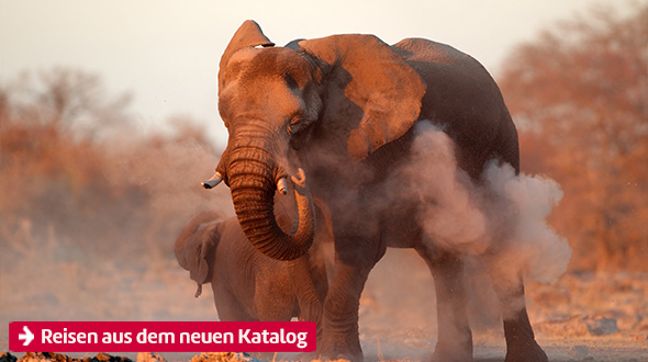 Reisen aus dem neuen Katalog.