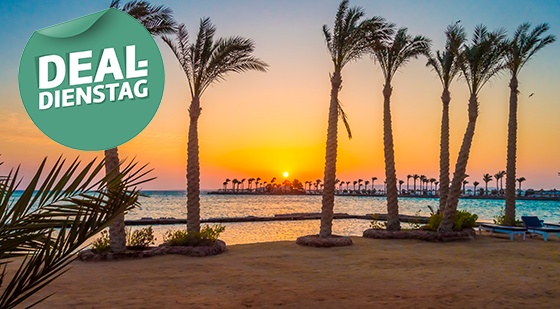 Sonnenaufgang an einem Palmenstrand in Hurghada.