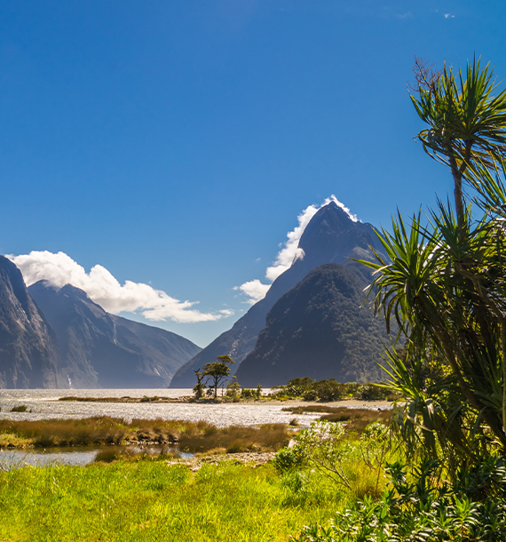 Milford Sound
