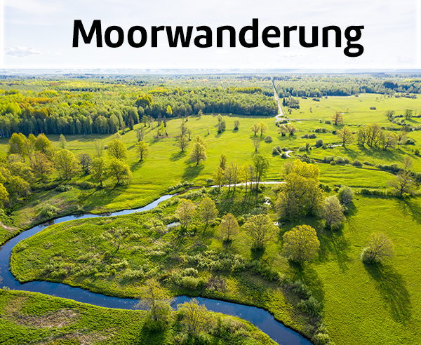 Moor im Nationalpark Soomaa.