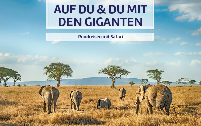 USA - Rundreise durch den legendären Westen.