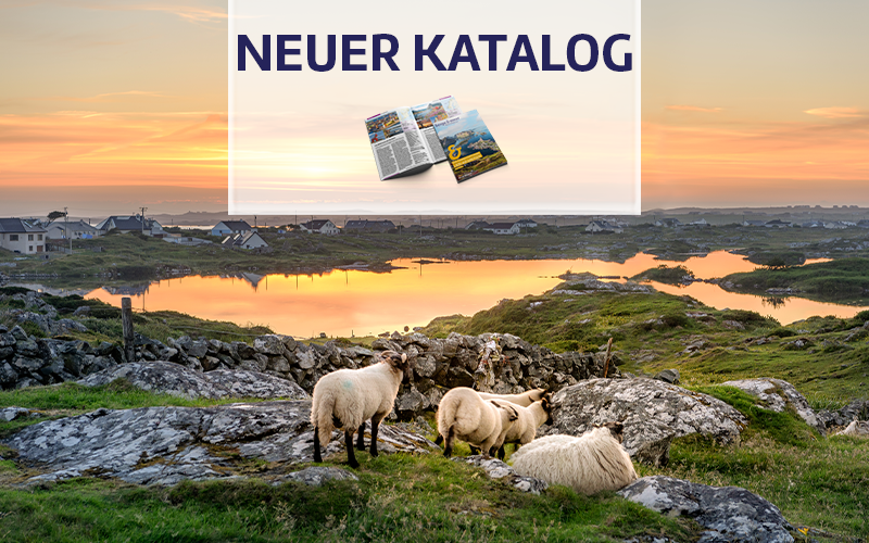 Unser neuer Katalog ist da.