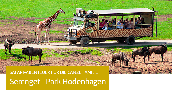 Bus fährt durch Serengeti-Park Hodenhagen mit Tieren.